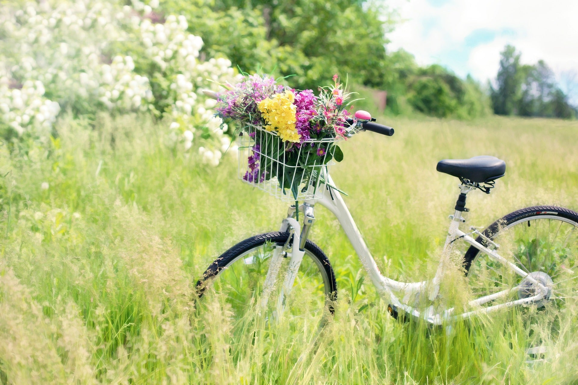 fahrrad