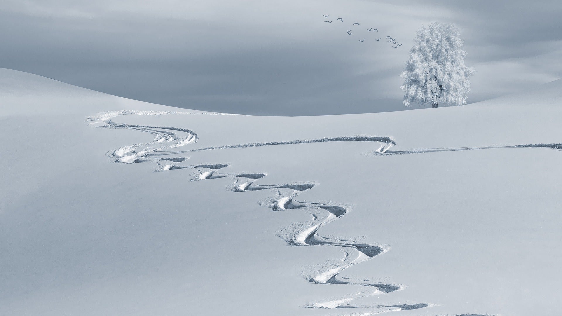 ski