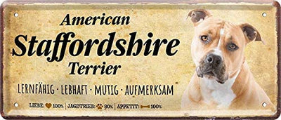 American_Staffordshire_Terrier
