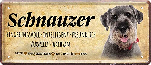 Wandschild Mit Schnauzer-Motiv | 27,9 X 27,9 Cm Aus Robustem PVC | Wetterfest & UV-beständig | Für Innen & Außen | Lustiges Geschenk