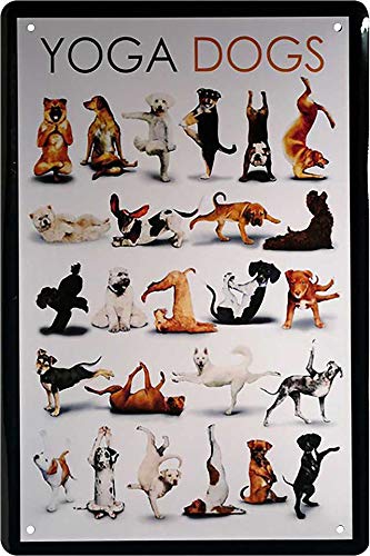Yoga_dogs
