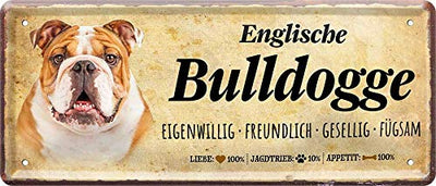 englische_bulldogge