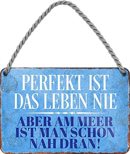 Blechschild Lustiger Spruch "Perfekt ist das Leben Nie" 18x12 cm