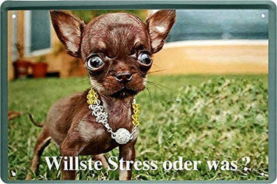 willste_stress_oder_was