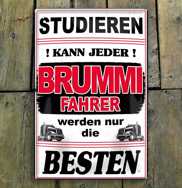 Brummi_fahrer3