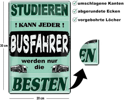 Busfahrer2