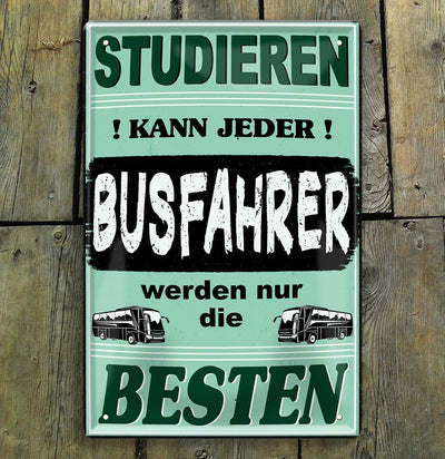 Busfahrer3