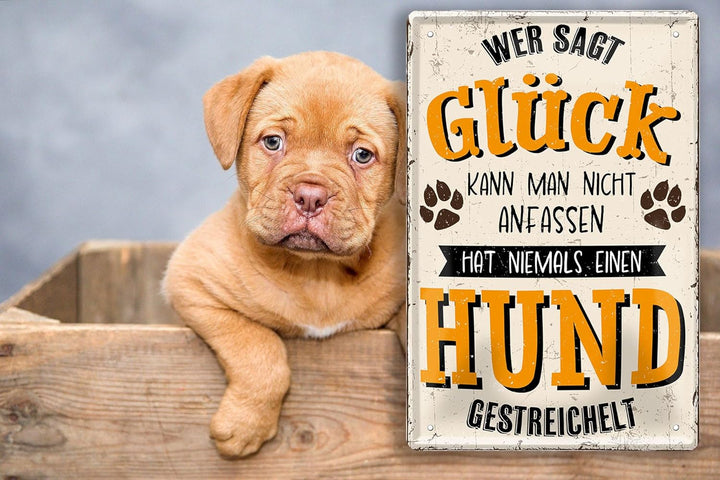 Hund_gestreichelt4