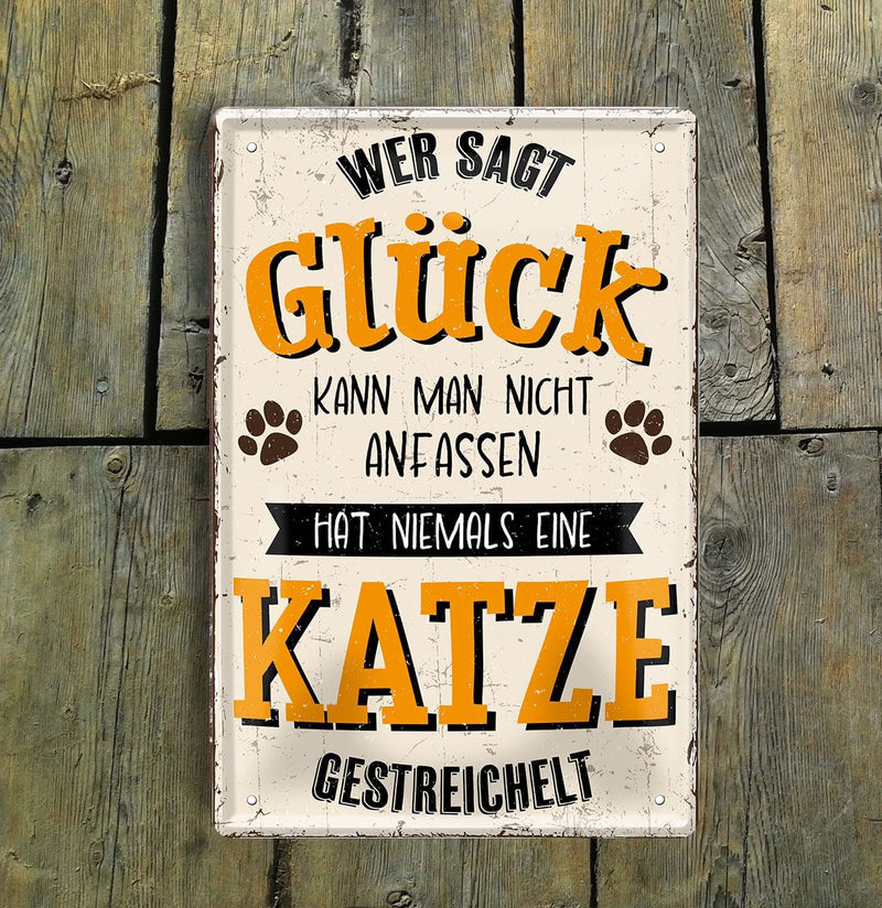 Katze_Gestreichelt3