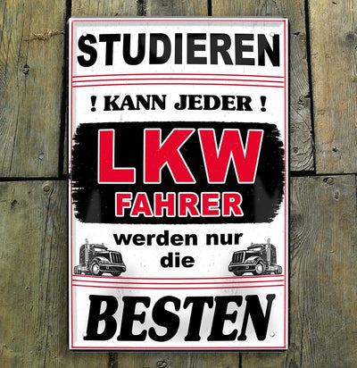 LKW_fahrer3