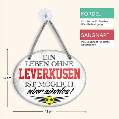 Leverkusen2