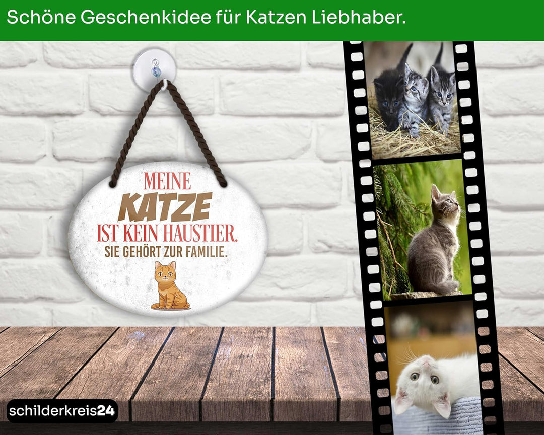 Meine_katze4