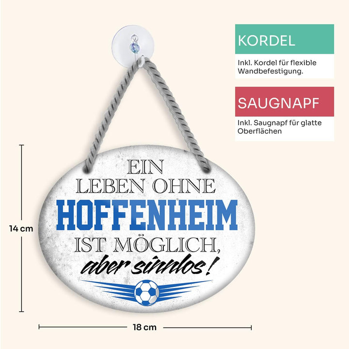 hoffenheim2