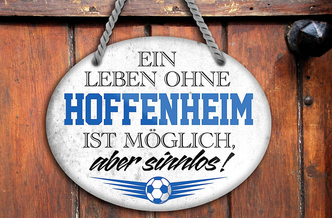 hoffenheim4