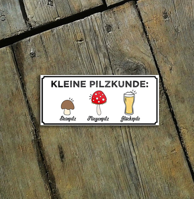 kleine_pilzkunde13