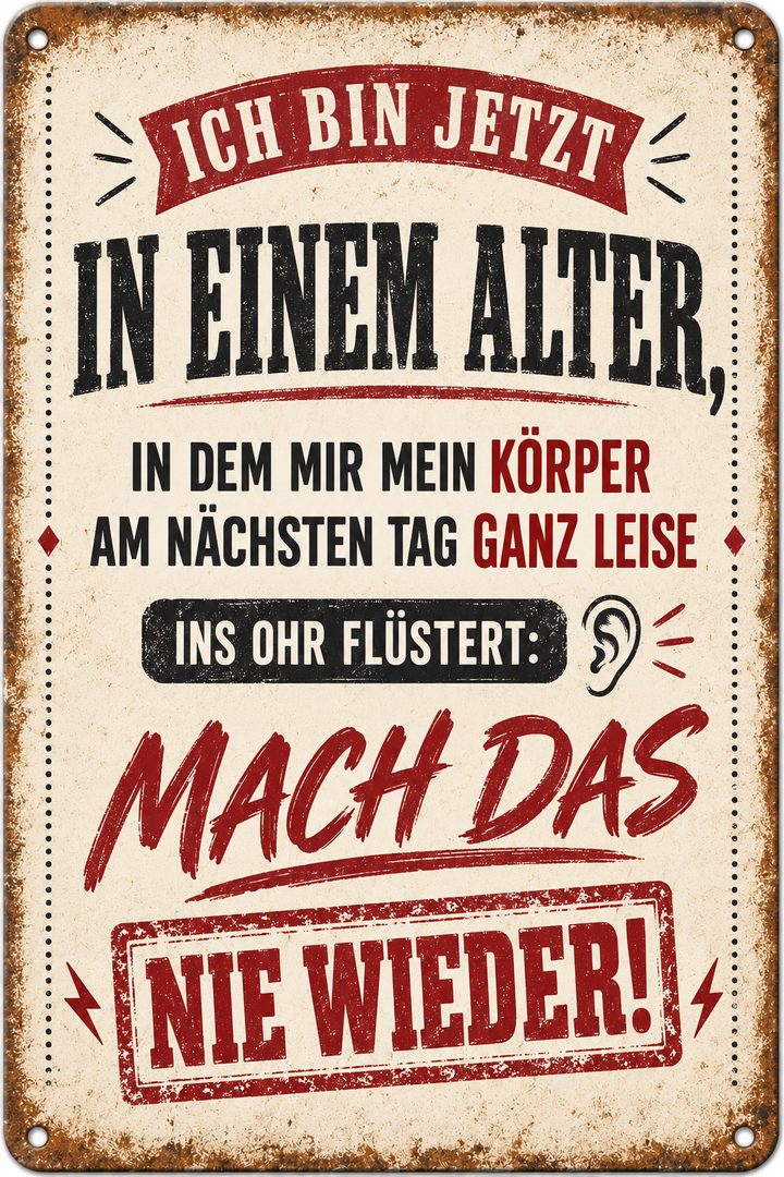 Lustiges Alter Metallschild – Mach das nie wieder von Leotie – Motivansicht, 20 × 30 cm