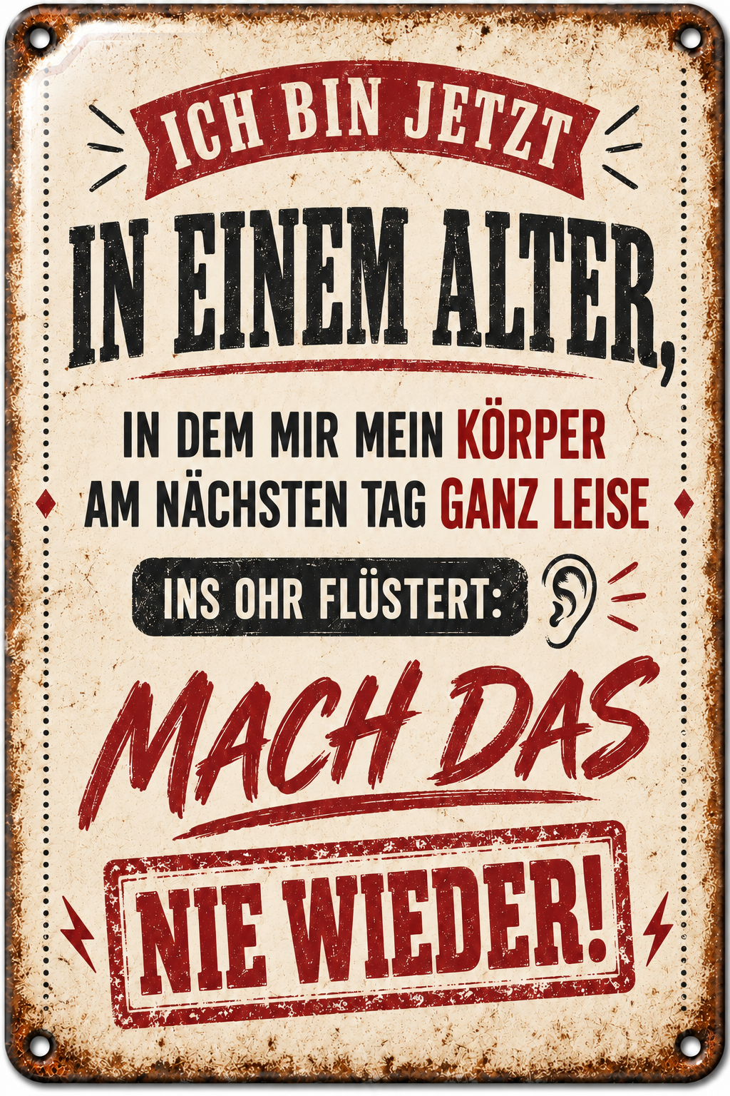 Lustiges Alter Metallschild – Mach das nie wieder von Leotie – Titelbild mit Schimmereffekt, 20 × 30 cm