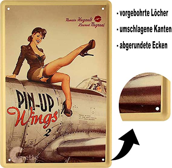 wings_beschreibung