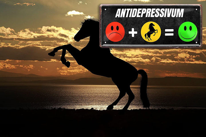 ANTIDEPRESSIVUM_Pferd_deko