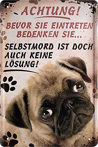 Achtung_bevor_sie_eintreten_bedenken_sie_hund