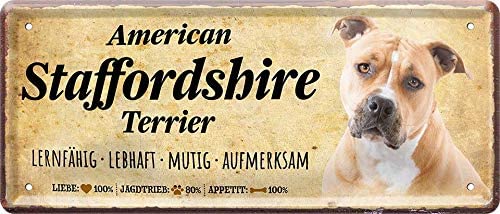 American_Staffordshire_Terrier