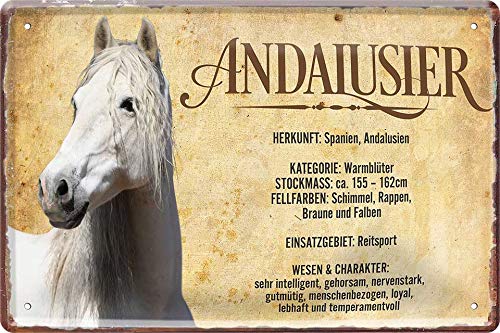 Andalusier