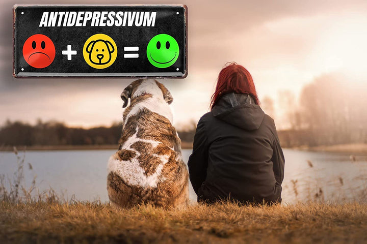 Antidepressivum_hund_deko