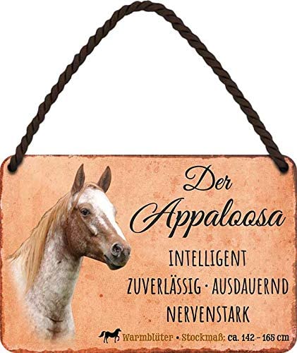 Appaloosa