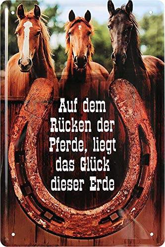 Auf_dem_ruecken_der_pferde