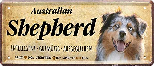 Australian_Shepperd