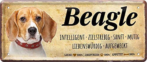 Beagle_Hundeschild