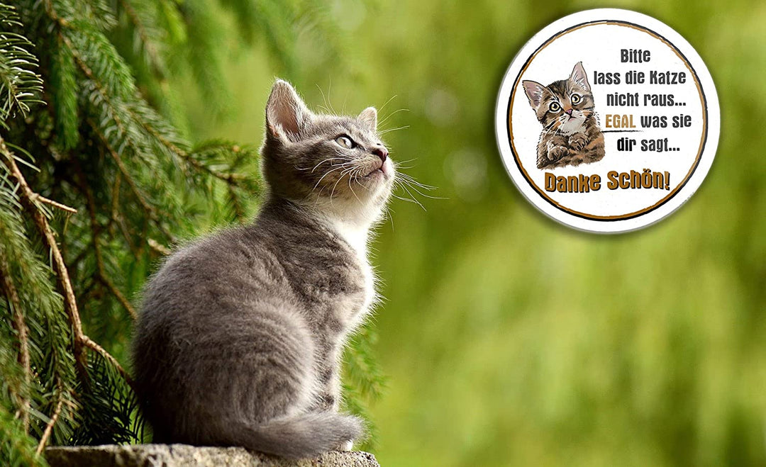 Bitte_lass_die_katze_nicht_raus_magnet_deko