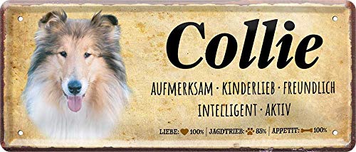 Collie_blechschild