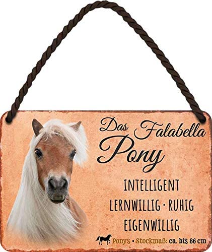 Das_Falabella_Pony