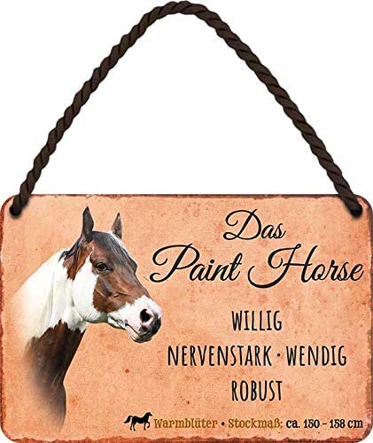 Das_Paint_Horse