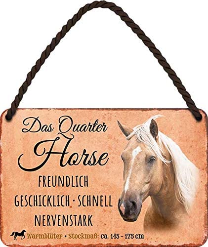 Das_Quarter_Horse