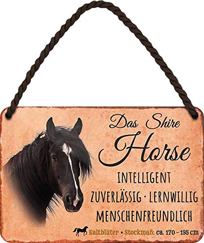 Das_Shire_Horse