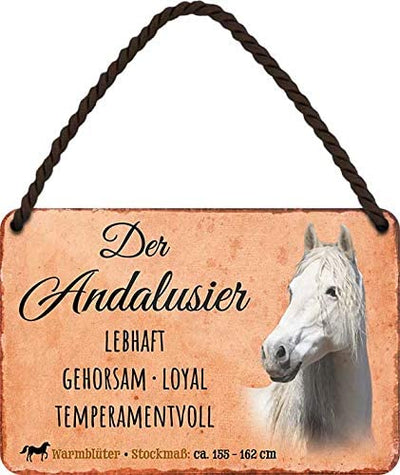 Der_Andalusier