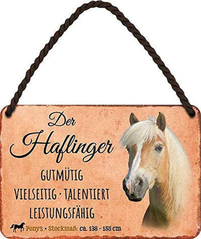 Der_Haflinger