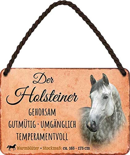 Der_Holsteiner