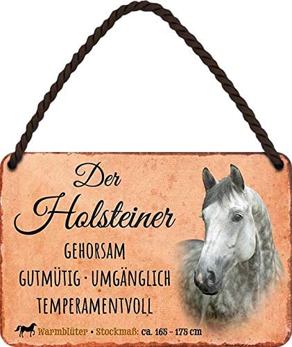 Der_Holsteiner