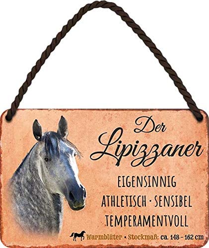 Der_Lipizzaner