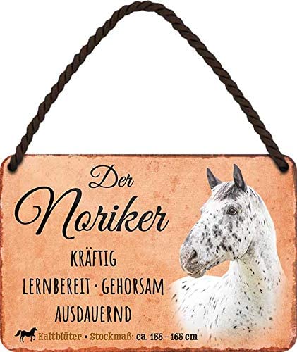 Der_Noriker