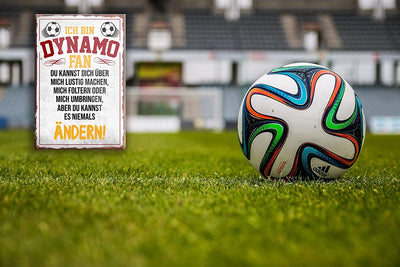 Dynamo-Fan-Magnet9x6cm-Fussball-deko