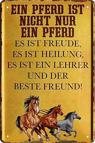EIN_Pferd_ist_Nicht_nur_EIN_Pferd