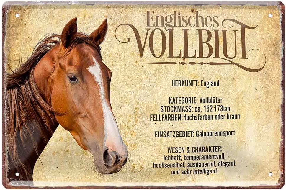 Englisches_Vollblut