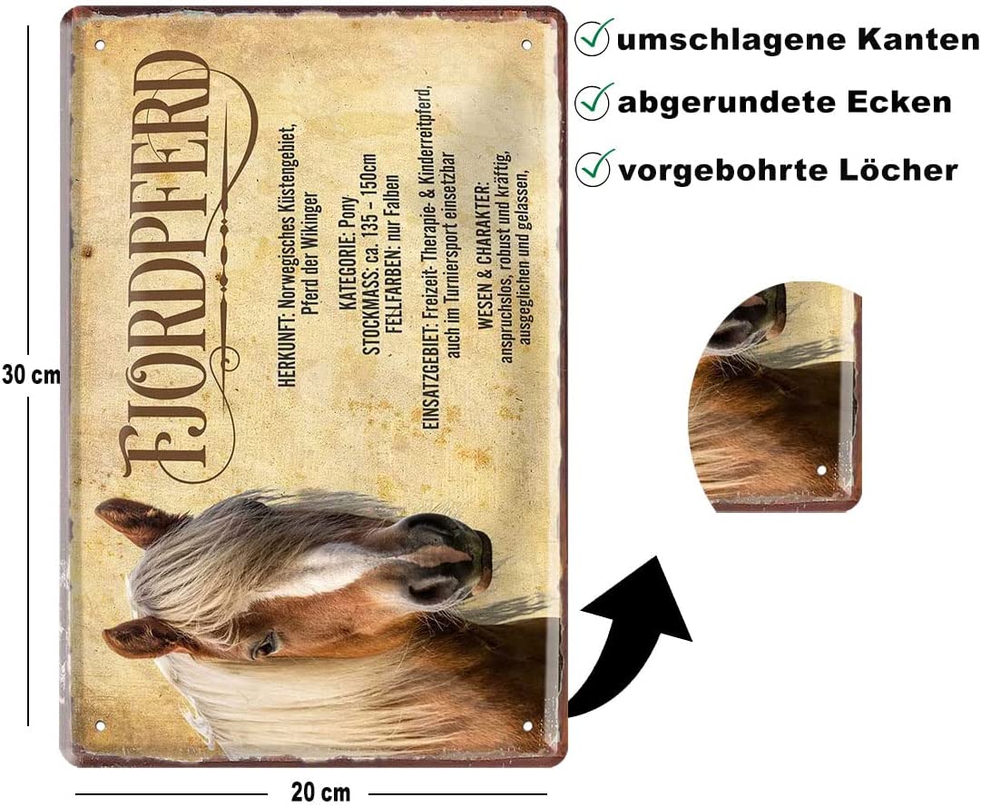 Fjordpferd_beschreibung