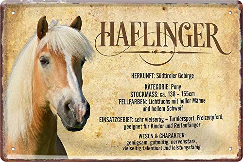 Haflinger