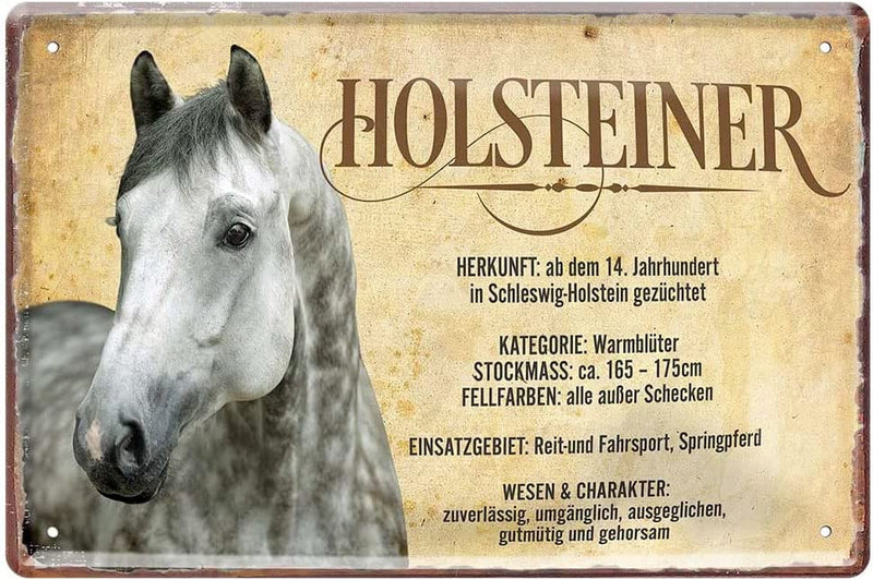 Holsteiner