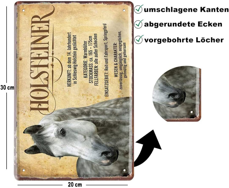 Holsteiner_beschreibung